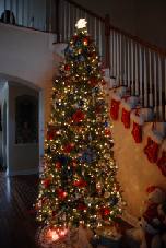2008-12-24-03.JPG